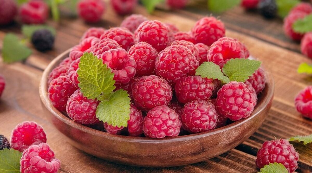 فواید باور نکردنی تمشک برای روده‌ها