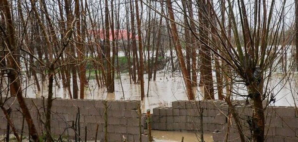 امدادرسانی به ۱۶۸ نفر در پی آب‌گرفتگی ۲۰ روستای شهرستان قلعه‌گنج کرمان