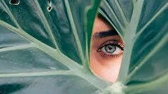 یک محصول ساده که بینایی را بهبود می‌بخشد، نامگذاری شده است