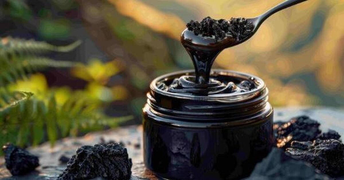 شیلاجیت یا «طلای سیاه کوه‌ها»؛ ماده‌ای ارزشمند برای افزایش انرژی و عملکرد جنسی