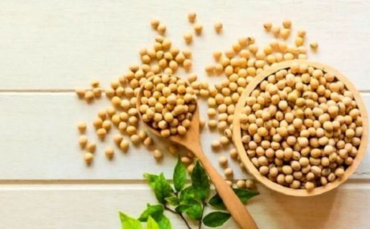 نخود بخورید تا قلب سالمی داشته باشید