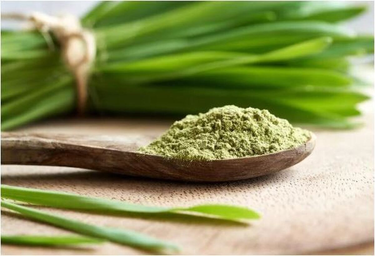 مصرف جوانه گندم در کاهش روند پیری تاثیر می‌گذراد؟