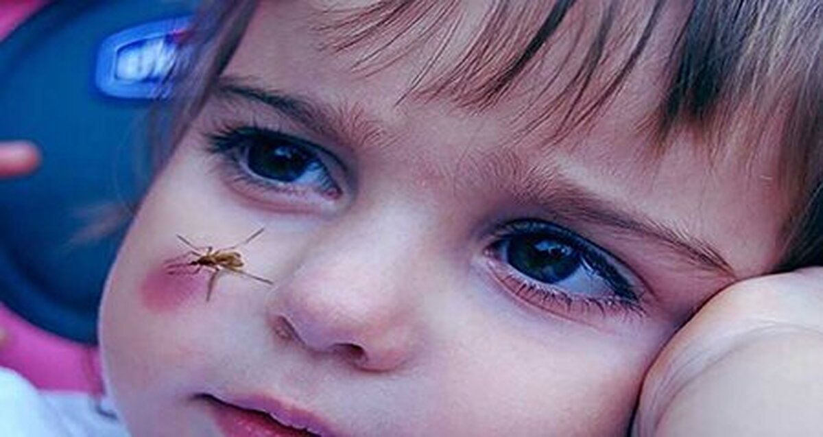 مکانیسم‌های علمی رفتار مرموز پشه ها!