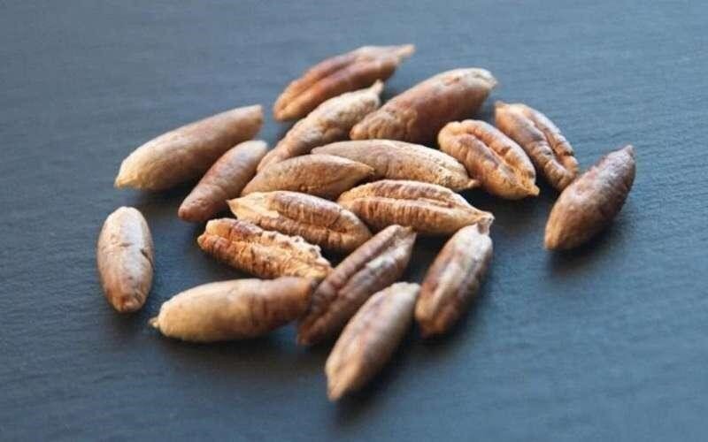در منزل مقوی‌ترین سرمه چشم خانگی را درست کنید!