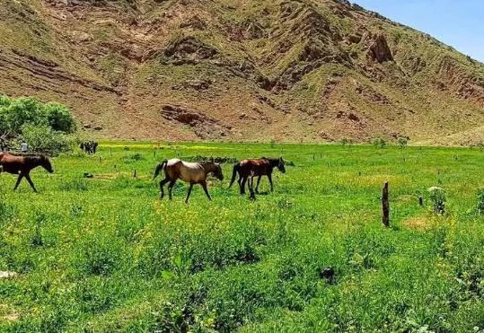 جذاب‌ترین مکان‌های دیدنی در محدوده لواسان که نباید از دست بدید!