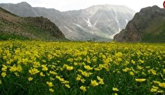 جذاب‌ترین مکان‌های دیدنی در محدوده لواسان که نباید از دست بدید!