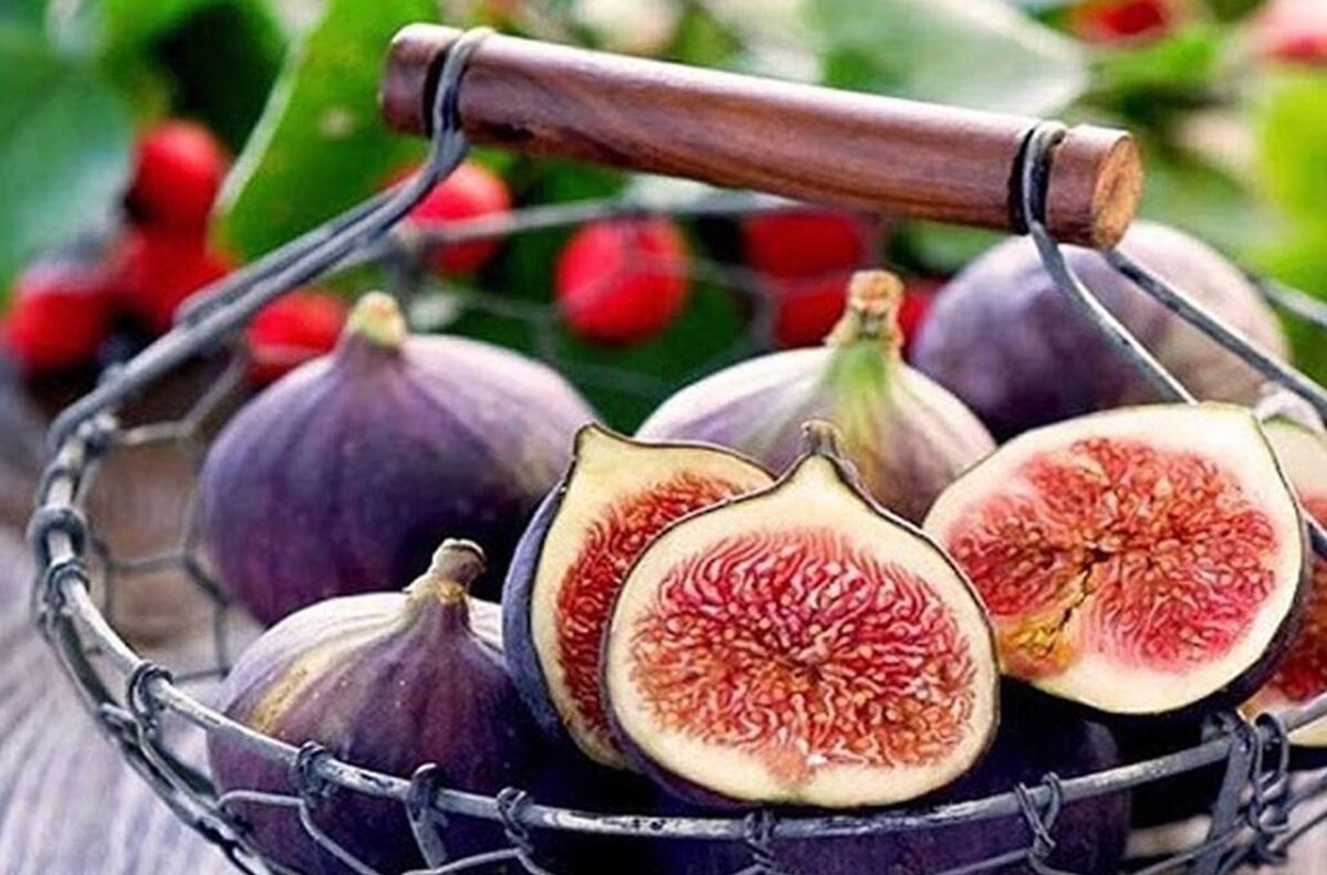 مصرف انجیر چه خواصی برای سلامتی بدن دارد؟