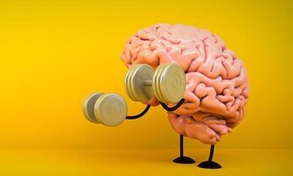 به کمک این ترکیبات غذایی عملکرد مغز را بهبود ببخشید