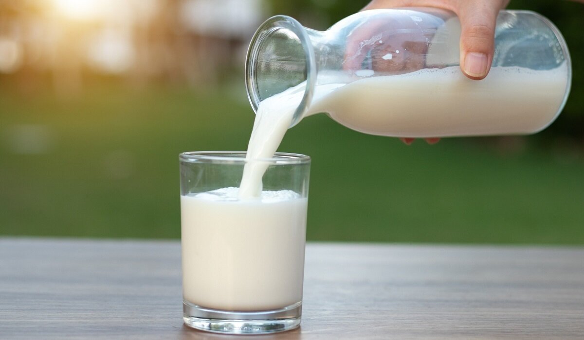 مقایسه برتری‌ها و مزایای شیر گاو با شیر جودوسر!