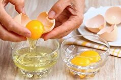 چه دلایلی باعث فساد تخم مرغ می‌شوند؟