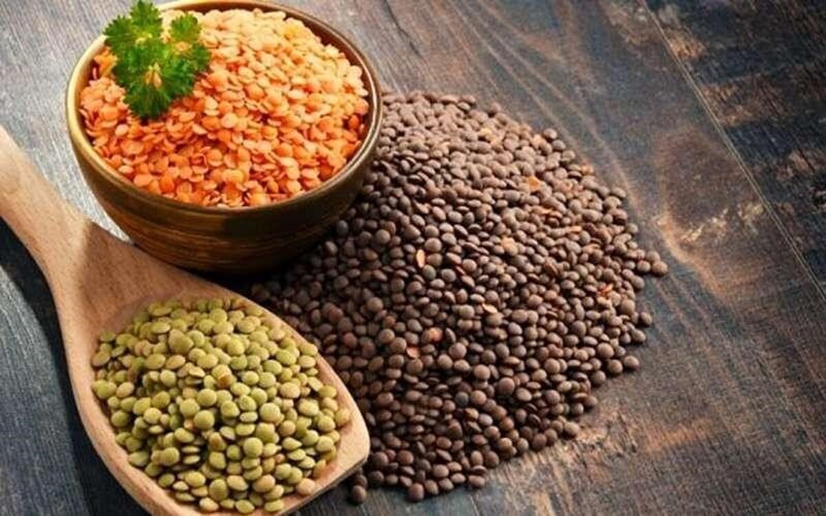 مصرف عدس راهی طبیعی برای قطع ریزش مو