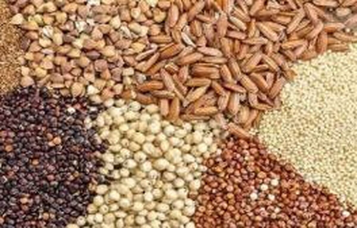 تداوم حمایت از دامداران
