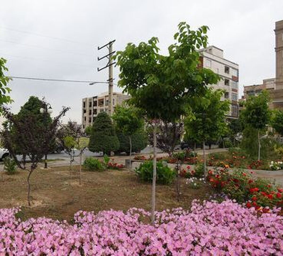 تکمیل ۱.۵ هکتار نوار سبز بلوار مدرس یزد تا پایان مرداد