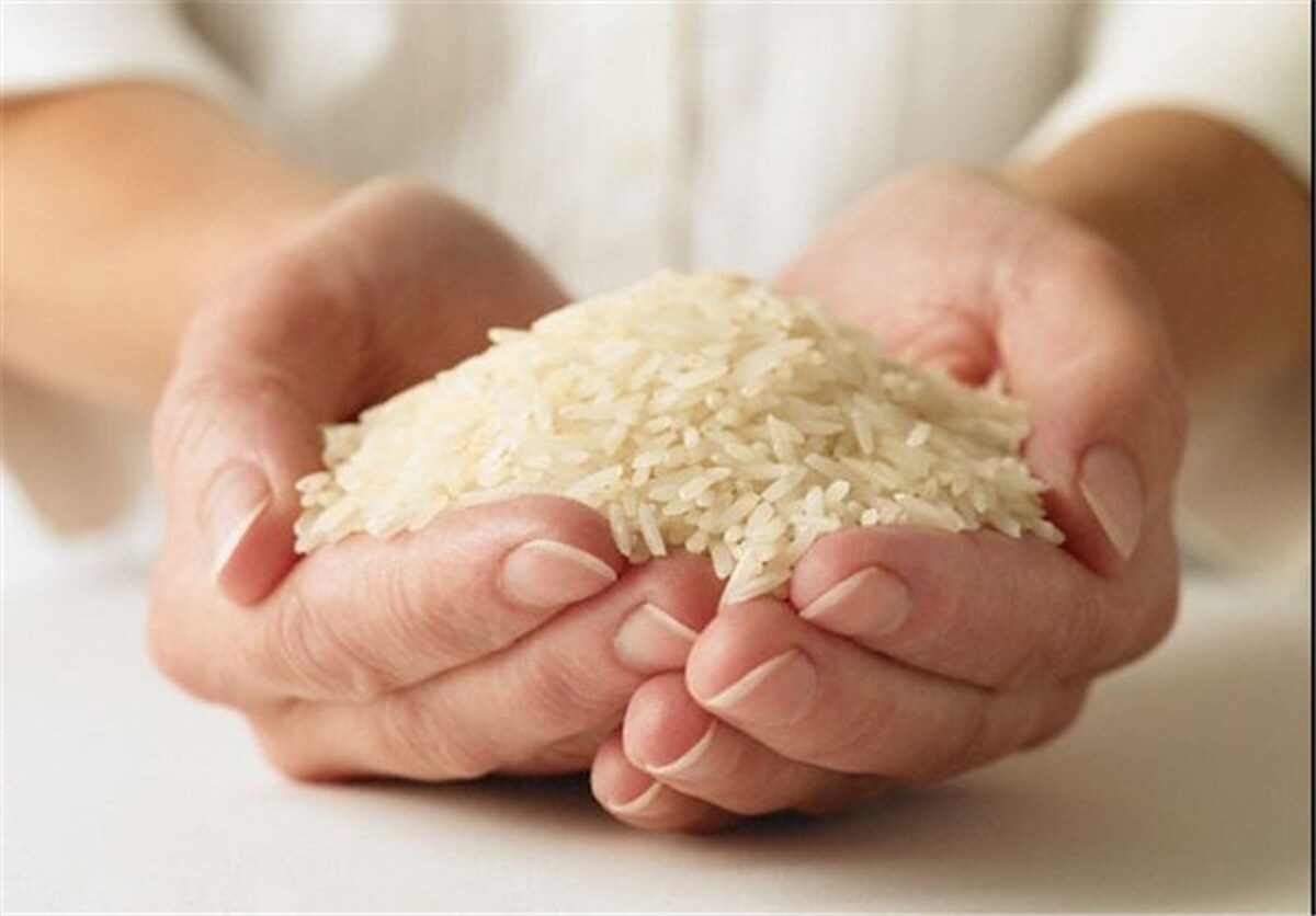 قیمت برنج ایرانی با شیب مناسب در حال کاهش است