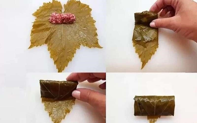 راهکار‌هایی برای حرفه‌ای شدن در پیچیدن برگ دلمه/از مدل سیگاری تا بقچه‌ای و مثلثی!