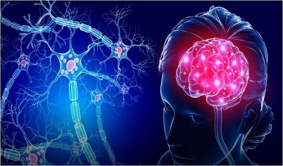 آخرین مطالعات در موردیادگیری و حافظه کودکان