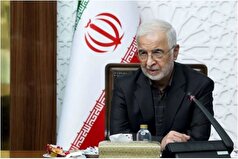 به گفته وزیر کشور ۷۰ درصد اتباع داوطلبانه از کشور خارج می‌شوند