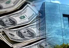 کاهش ۲۵درصدی تأمین ارز واردات از ابتدای امسال