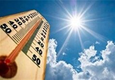 مازندران زیر آفتاب سوزان؛ هشدار جدی برای مزارع و جنگل‌ها