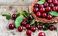 از خواص گیلاس برای سلامتی بدن غافل نشوید