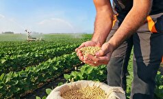 پوشش تأمین اجتماعی؛ نیاز اساسی بخش کشاورزی