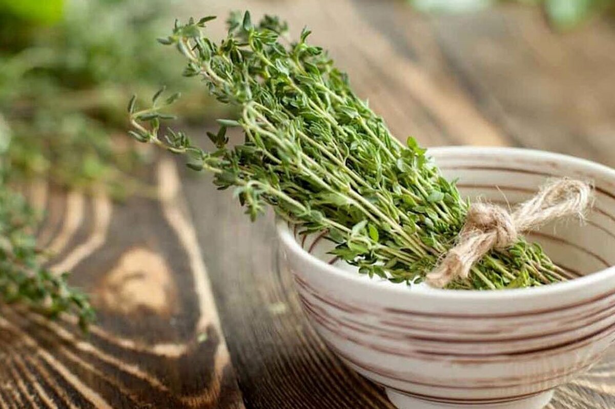 بخور دادن با برگ آویشن به تسکین سرفه کمک میکند!