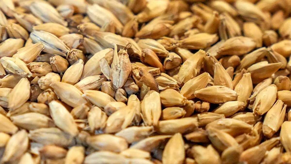 پوتین اروپا را به عدم پایبندی به طرح دریای سیاه متهم کرد