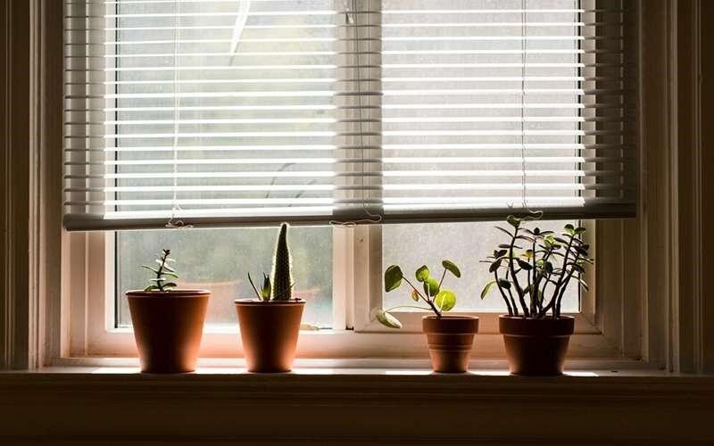 تکنیک‌هایی برای خنک‌سازی طبیعی منزل/از عایق‌کاری تا استفاده از پرده‌های مناسب