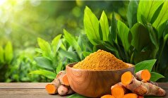 کاهش خطر ابتلا به بیماری آلزایمر با مصرف روزانه زردچوبه!