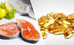 Nutrients: روغن ماهی سرعت بهبود عضلات را در موش‌های مسن افزایش می‌دهد