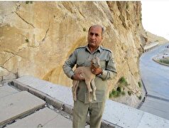 پیگیری پرونده شهید هدایت‌الله دیده‌بان ادامه دارد