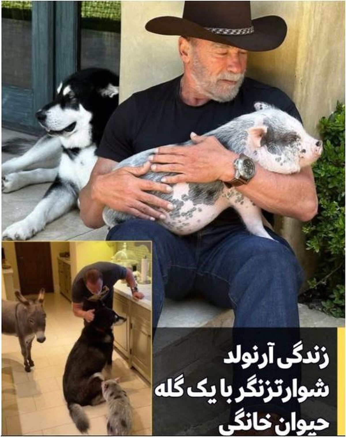 سبک زندگی جدید آرنولد شوارتزنگر با خانه‌ای پر از حیوان!