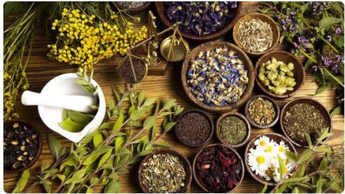 کدلم عرقیجات‌های گیاهی آرامش بخش هستند؟