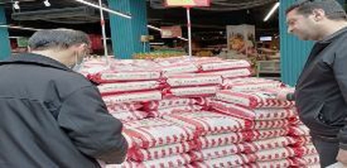 تشکیل ۱۰۰ فقره پرونده در گشت بازرسی تعزیرات