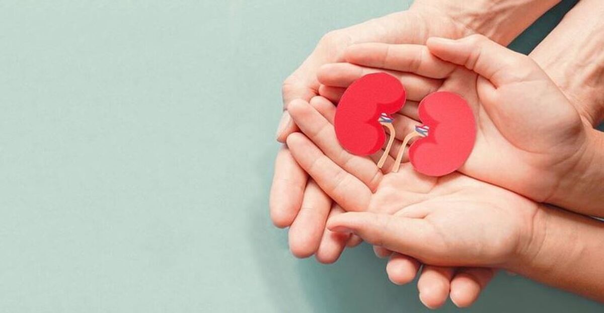 مضرترین غذا‌ها برای سلامت کلیه‌ها را بدانید