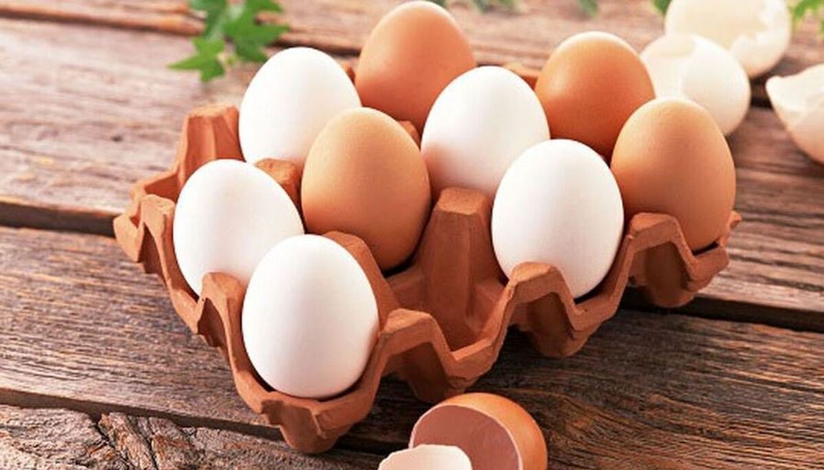 این مواد خوراکی را جایگزین تخم مرغ کنید