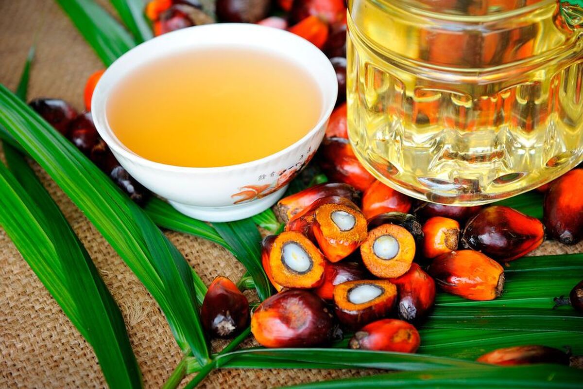یک پزشک افسانه خطرات روغن پالم را رد کرد