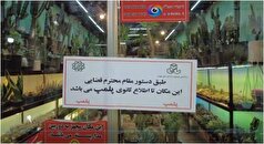 ماجرای پلمب بعضی از واحد‌های بازار گل شهید ستاری