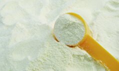 رای خودکفایی در تولید مواد اولیه شیرخشک مشارکت دولت و بخش خصوصی نیاز است
