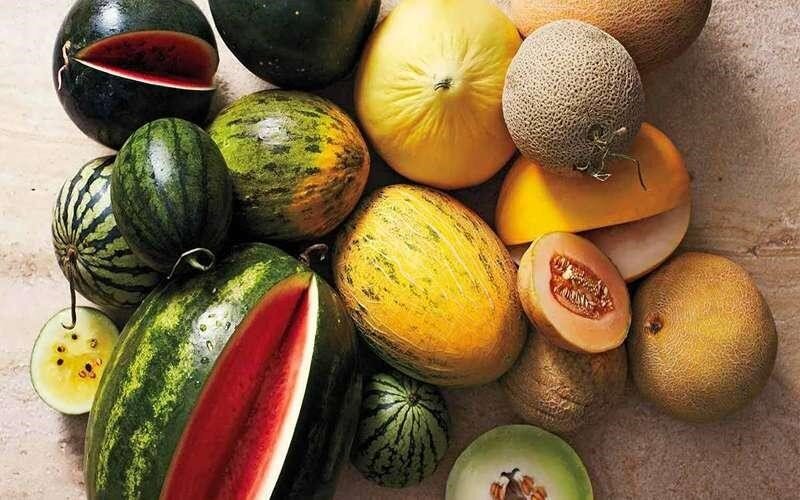 چگونه با وجود گرمای زیاد هوا انرژی خود را حفظ کنیم؟