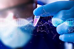 تلاش برای تولید پلتفرم رسانش mRNA به سلول‌های بنیادی خون‌ساز مغز استخوان!