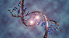 ساخت اَبَرشبکه‌های موریه‌ای DNA با دقت نانومتری