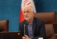 مومنی: کشور بیش از این ظرفیت پذیرش و پذیرایی از اتباع را ندارد