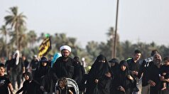 بیش از ۹ هزار نفر تاکنون برای زیارت اربعین در فارس ثبت نام کرده‌اند