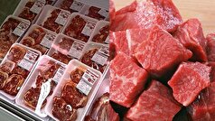 واردات بی‌رویه گوشت قیمت‌ها را تغییر نداد