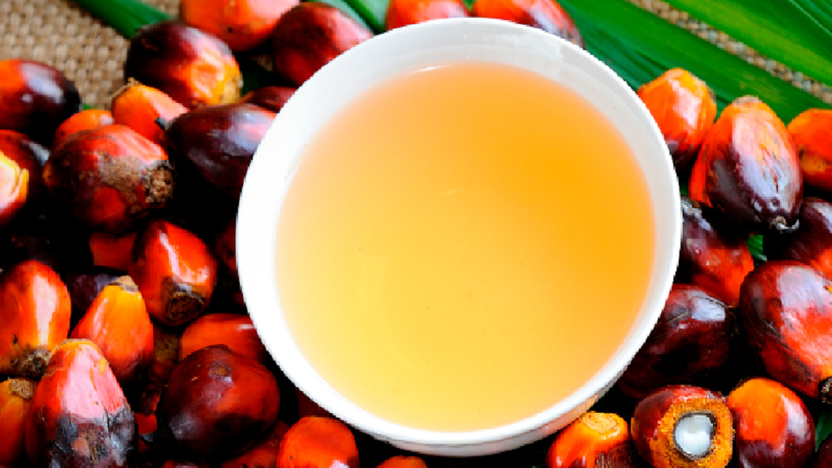 روغن پالم برای بیماری‌های قلبی عروقی تشدید کننده است؟