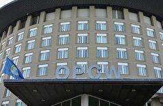 روسیه از سازمان منع سلاح‌های شیمیایی (OPCW) درخواست کرد تا هیئتی را برای بررسی استفاده رژیم کی‌یف از سلاح‌های شیمیایی اعزام کند