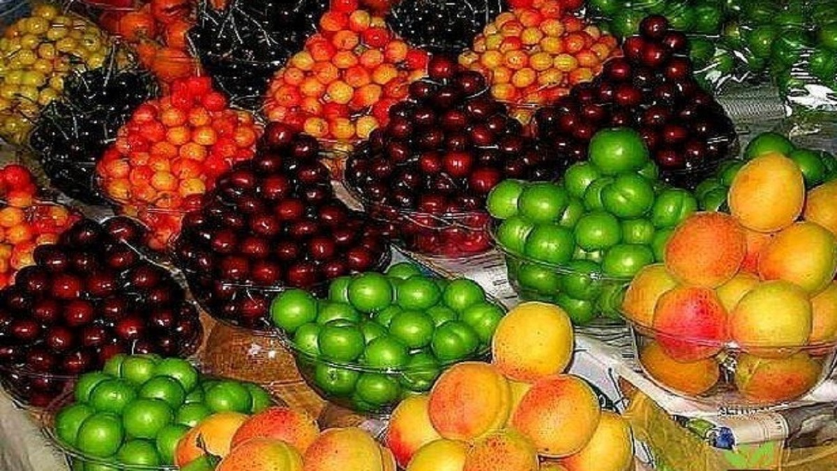 عدم ارائه فاکتور و ضعف در نظارت‌ها عامل اصلی گرانی میوه
