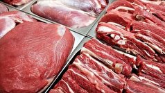 توزیع نهاده مدت دار و تولید قراردادی شرط دستیابی به خودکفایی گوشت قرمز