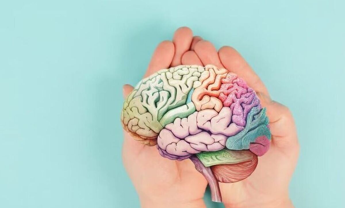 چگونه احتمال سکته‌های مغزی صبحگاهی را پایین بیاوریم؟